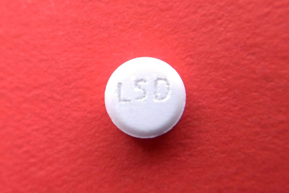 LSD Import Korea