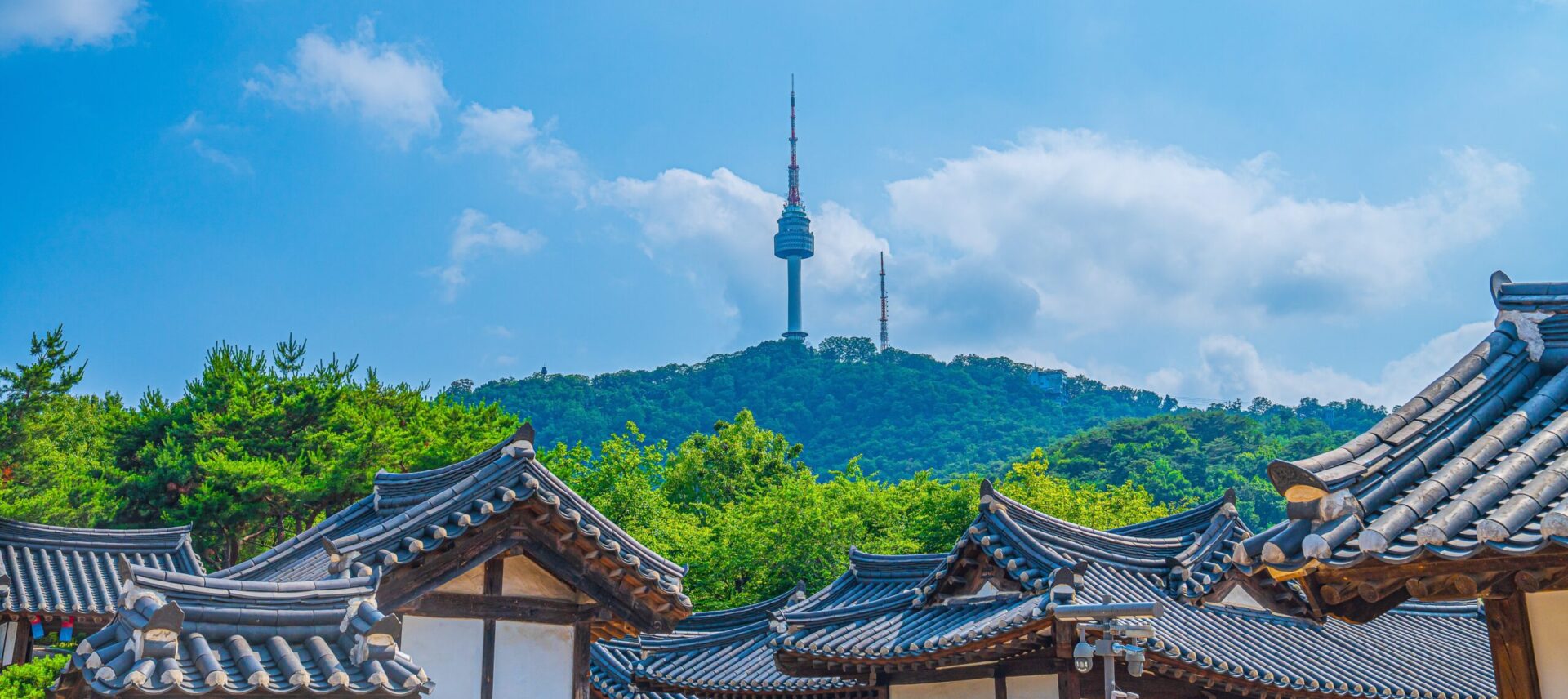 Our Story - Pureum Law Office